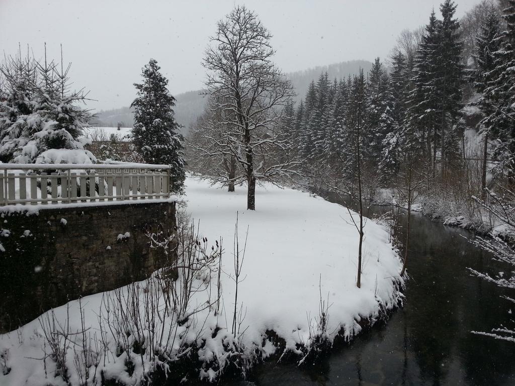 Les Grands Goulets Bed and Breakfast La Chapelle-en-Vercors Εξωτερικό φωτογραφία